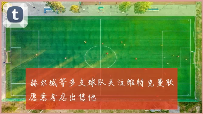 赫尔城等多支球队关注维特克曼联愿意考虑出售他